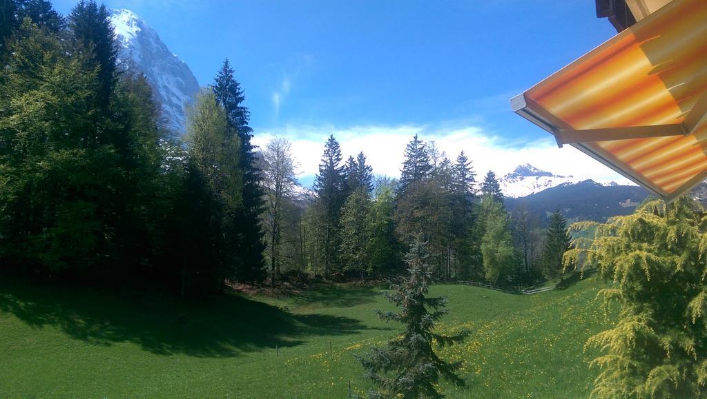 Mom - Alpine Boutique Apartments, Grindelwald Gletscher, Eiger View Terrace Studio Pokój zdjęcie