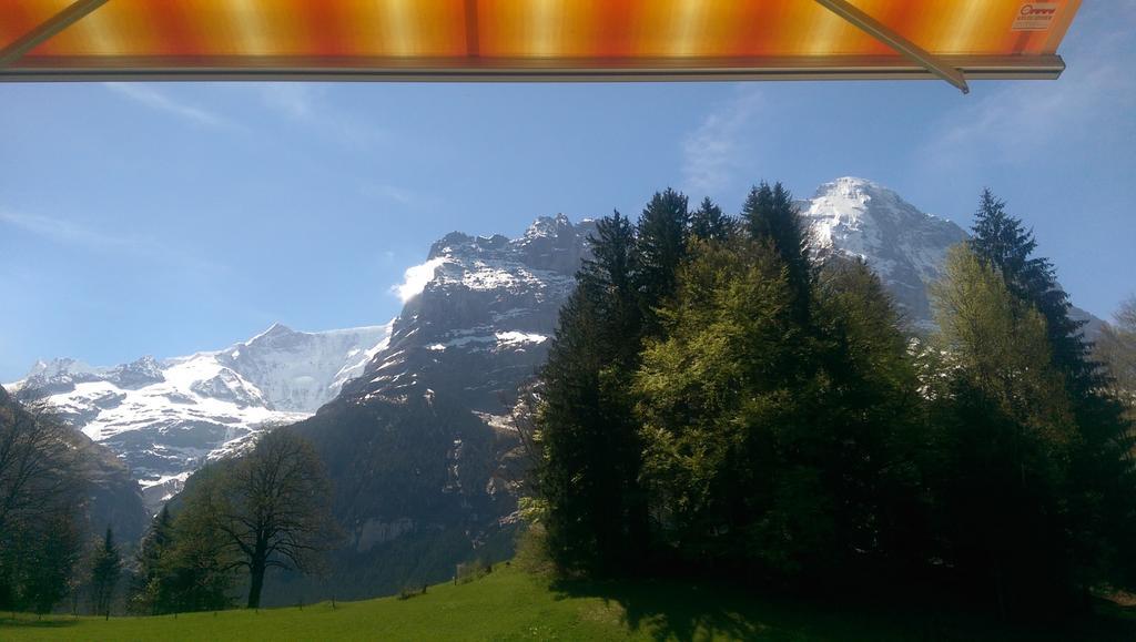 Mom - Alpine Boutique Apartments, Grindelwald Gletscher, Eiger View Terrace Studio Pokój zdjęcie