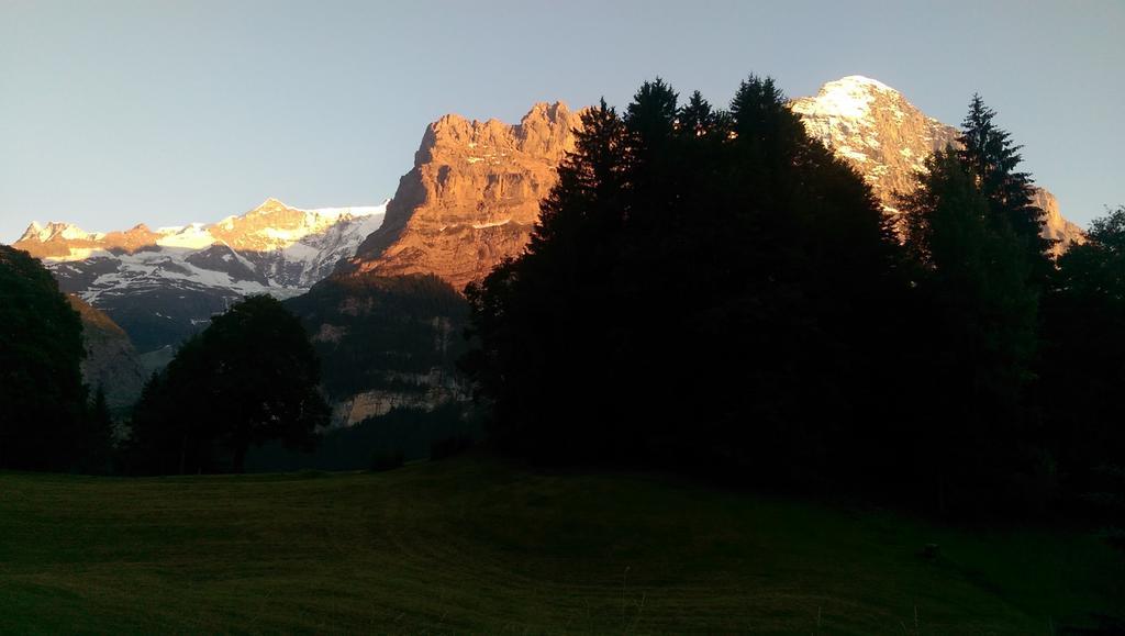 Mom - Alpine Boutique Apartments, Grindelwald Gletscher, Eiger View Terrace Studio Pokój zdjęcie